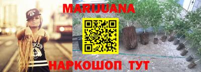 сатива Камышлов