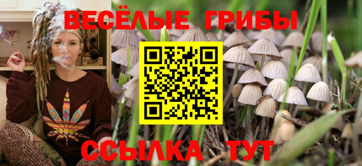 Краснокаменск  Псилоцибиновые грибы ЛСД  Вход с VPN  Псилоцибиновые грибы GOLDEN TEACHER 