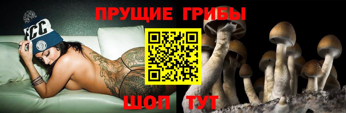 Псилоцибиновые грибы Краснокаменск