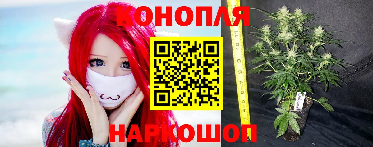 Марихуана конопля  Конопля ГИДРОПОН  Канабис Bruce Banner  Вход с VPN  Краснокаменск  Марихуана Amnesia 